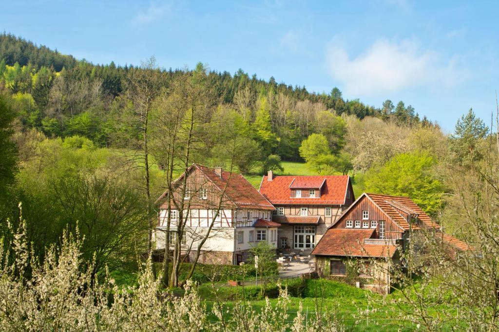 Romantik Hotel Landhaus Baerenmuehle Франкенау Екстер'єр фото